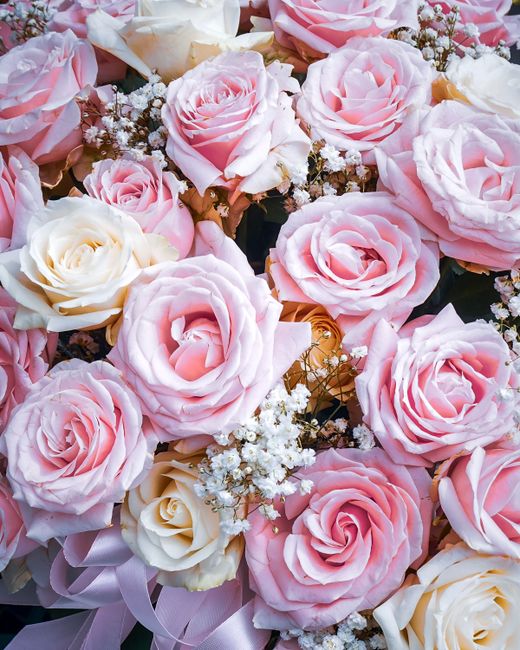 A close-up arrangement of fresh pink and cream roses with soft, velvety petals, intertwined with delicate white baby's breath flowers. The roses are arranged in a lush bouquet, showcasing their spiral
