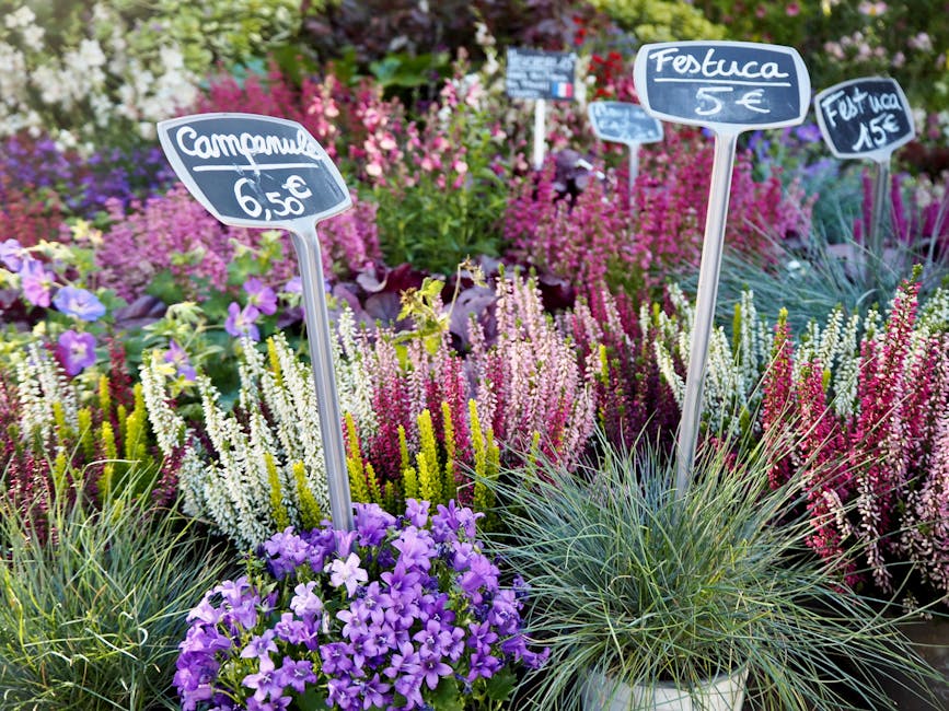 A colorful display of flowering plants in a garden nursery showing various small potted flowers with purple, white, pink, and yellow blooms. The flowers include purple petunias, white heather, and pin